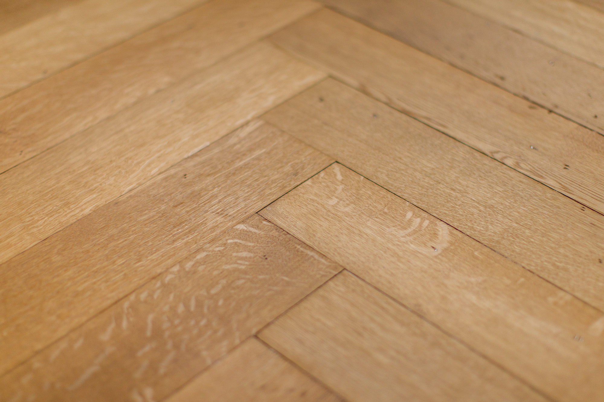 schelte_boden_parquet
